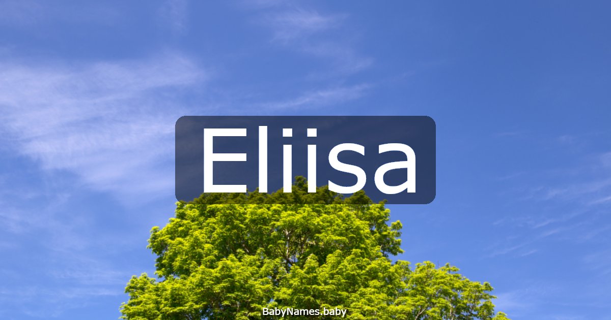 Eliisa