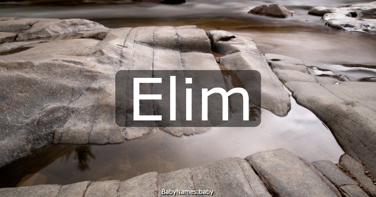 Elim