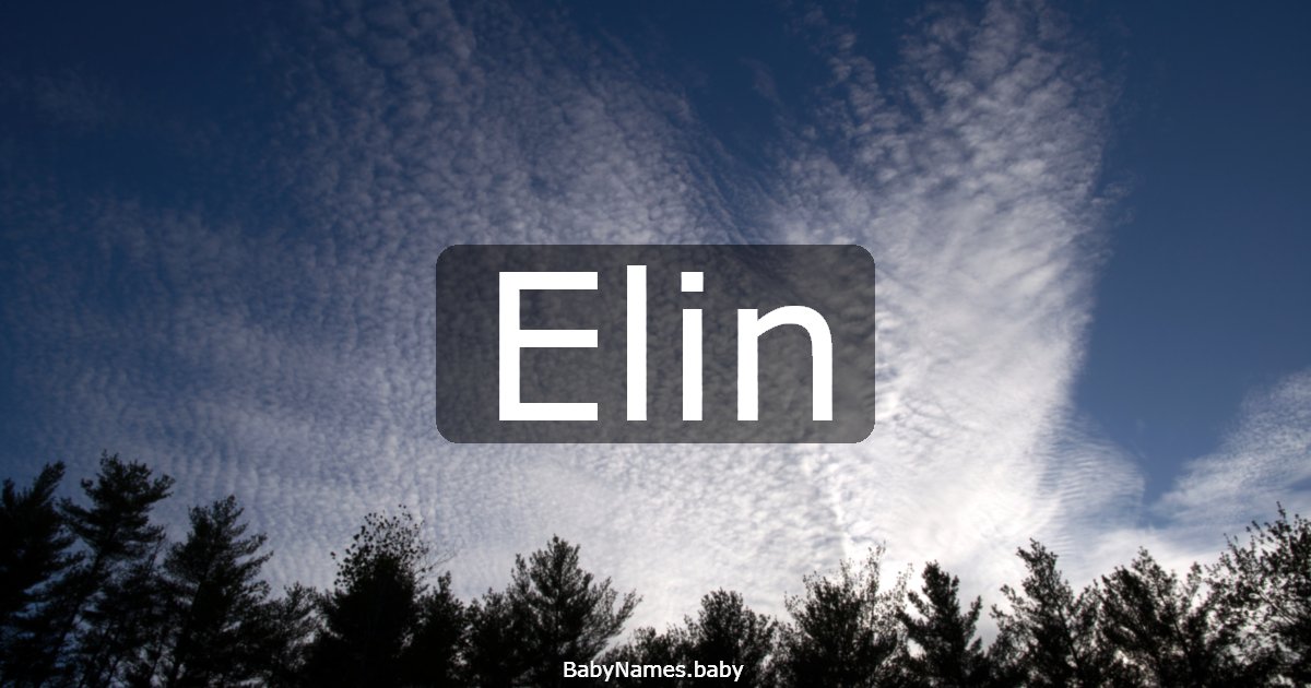 Elin