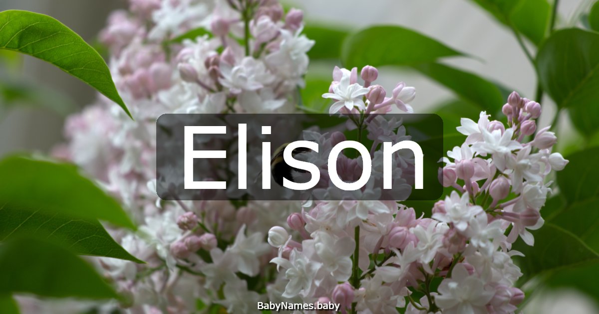 Elison