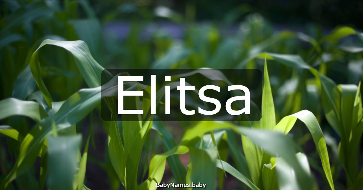 Elitsa
