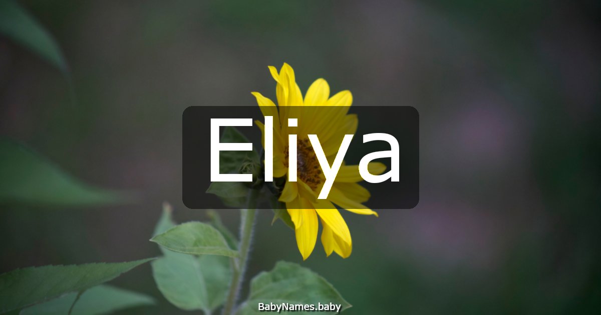 Eliya