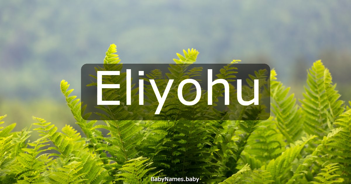 Eliyohu
