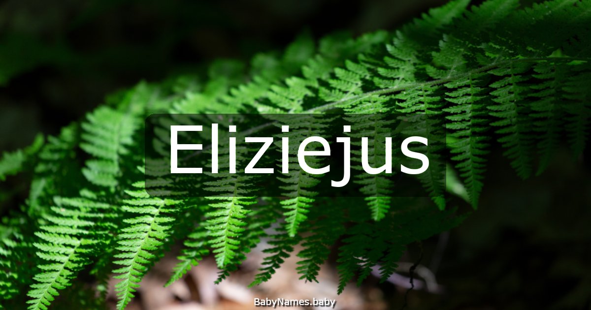Eliziejus