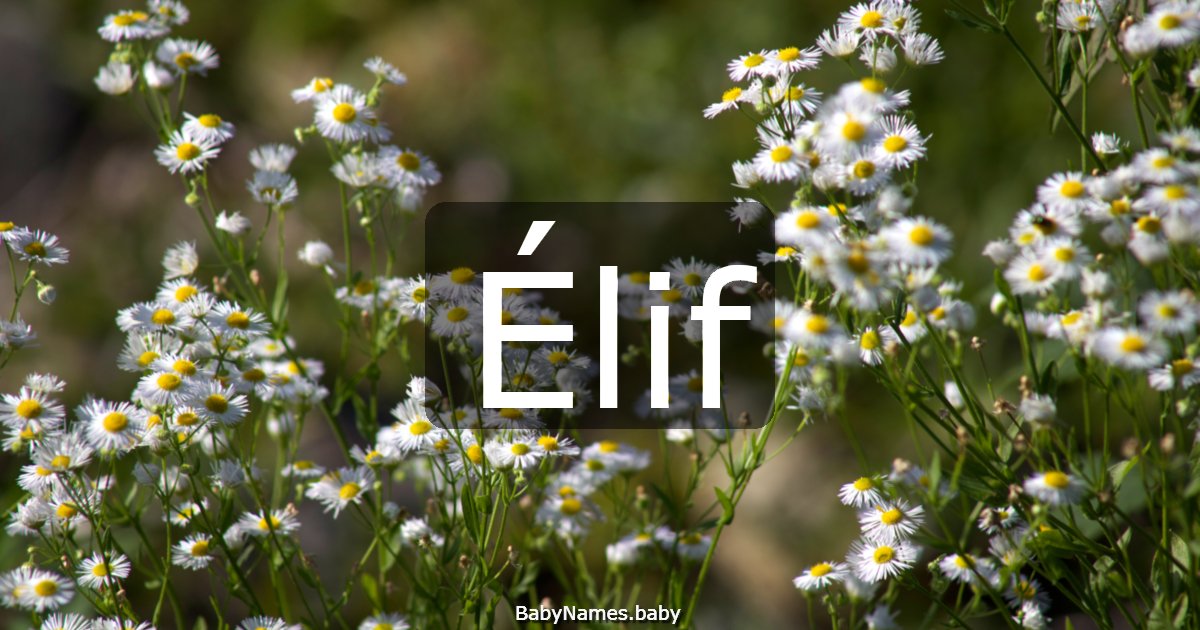 Élif