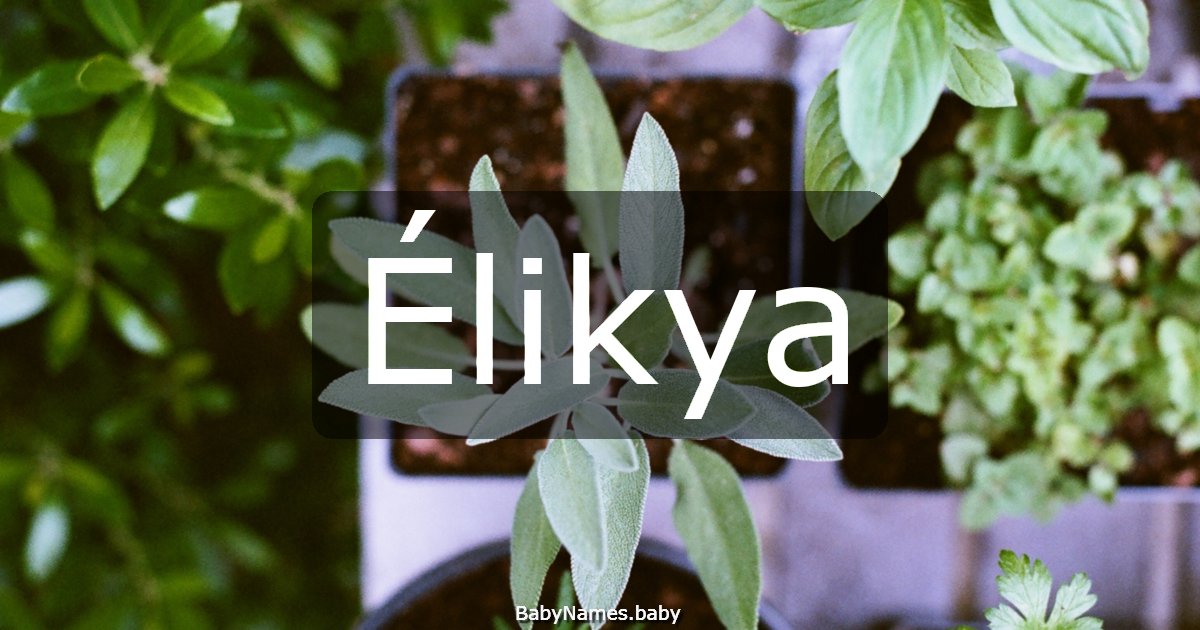 Élikya