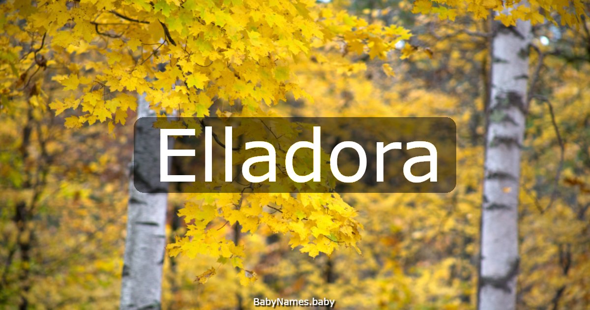 Elladora