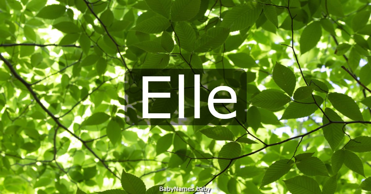 Elle