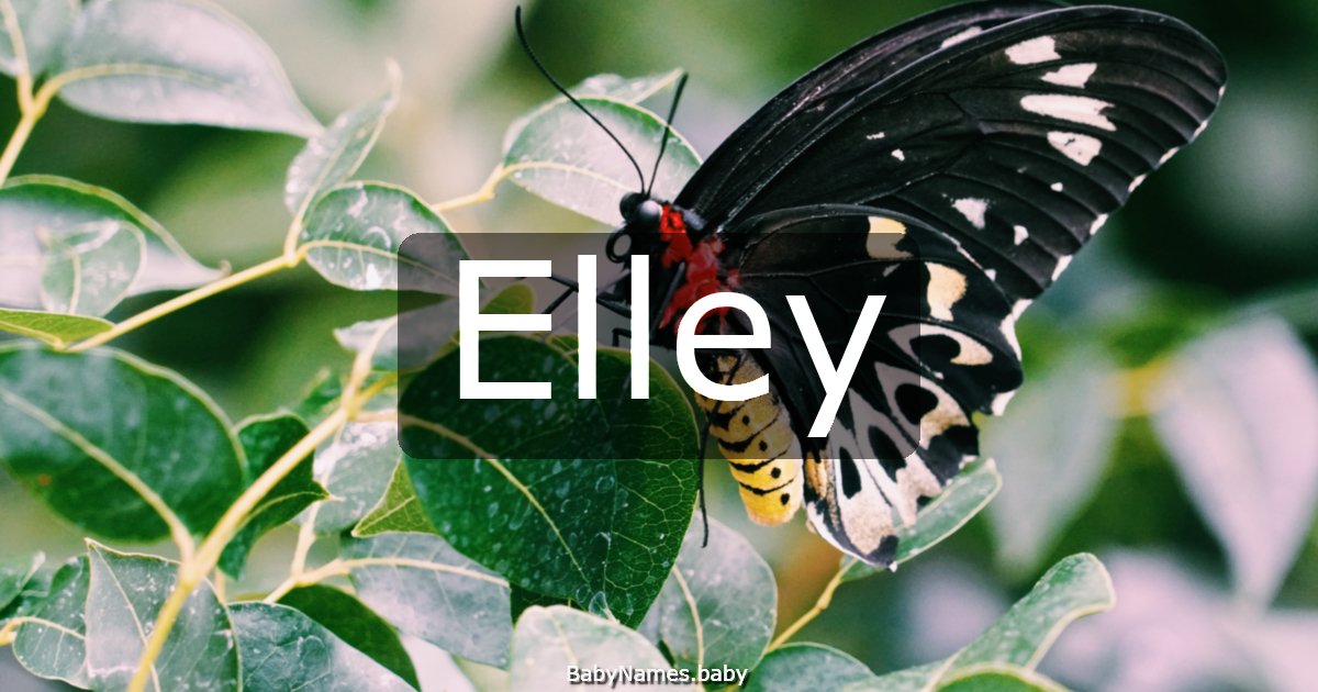 Elley