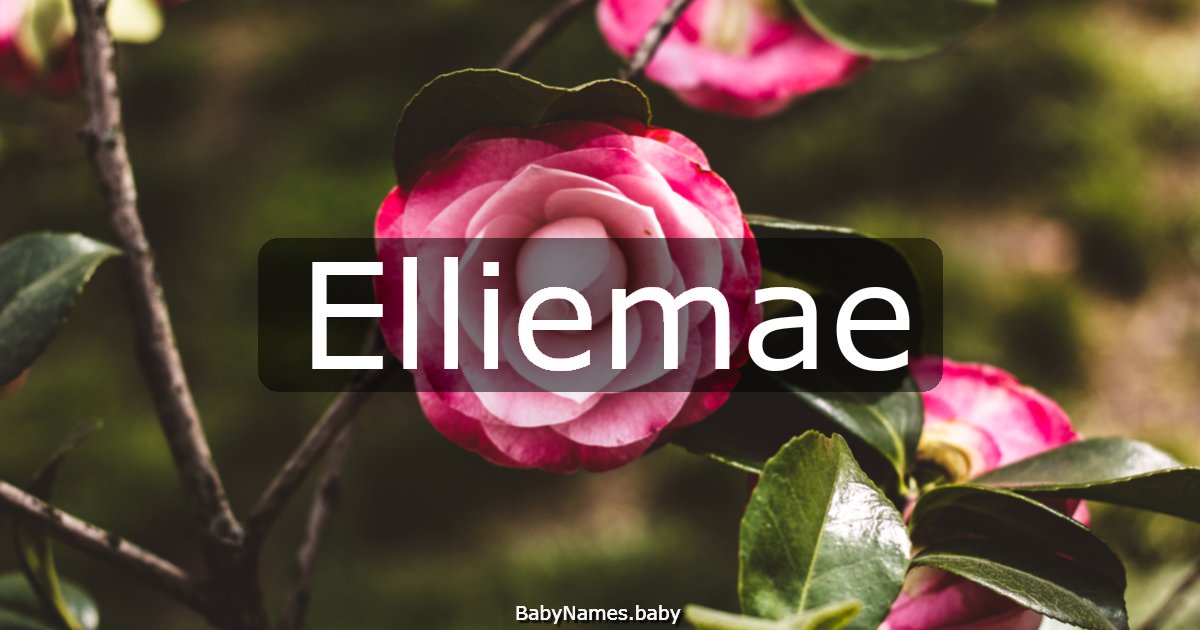 Elliemae