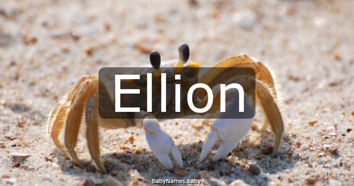 Ellion