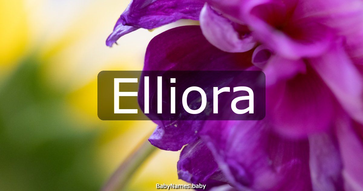 Elliora