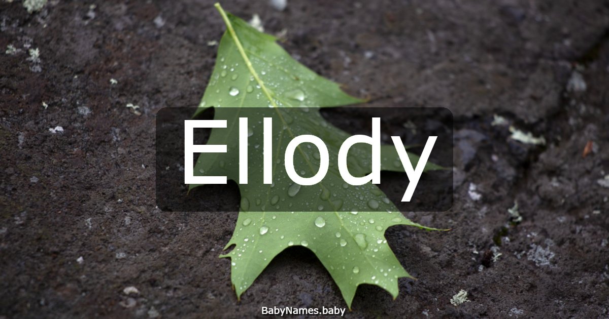 Ellody