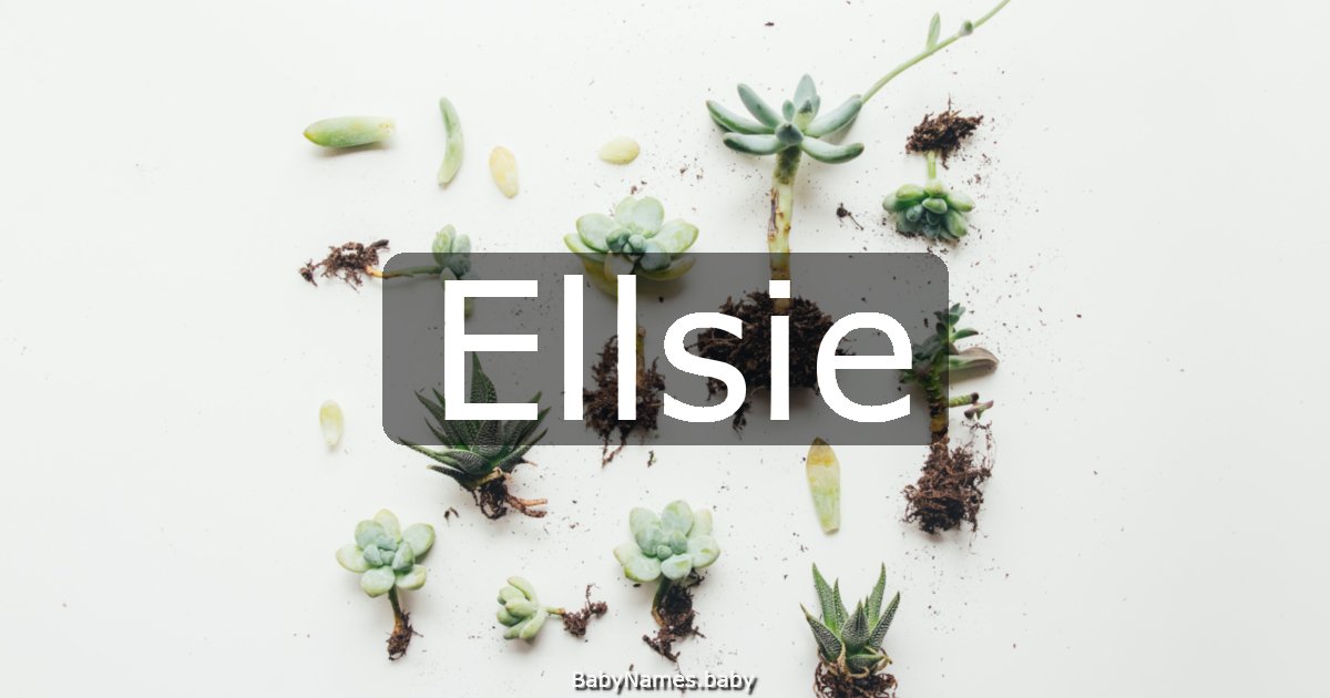 Ellsie