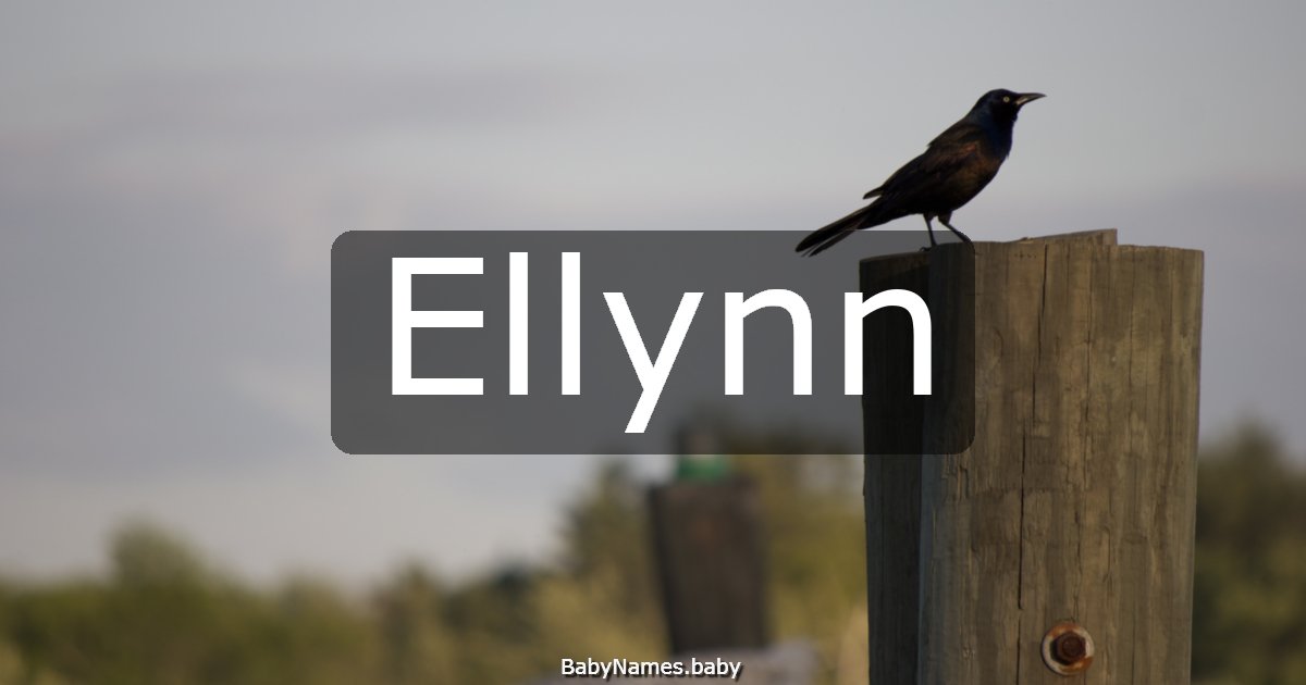 Ellynn