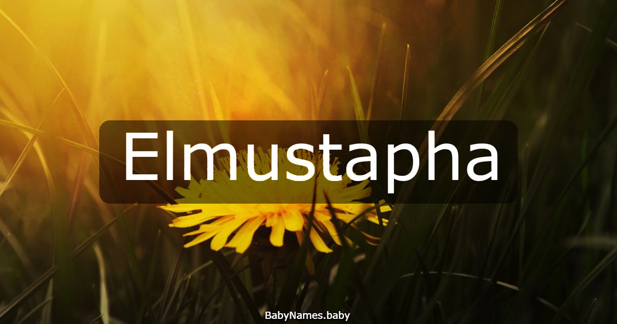Elmustapha