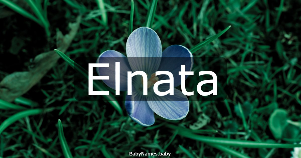 Elnata
