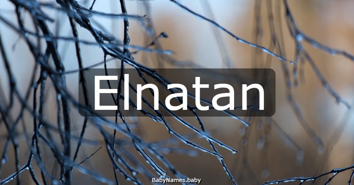 Elnatan