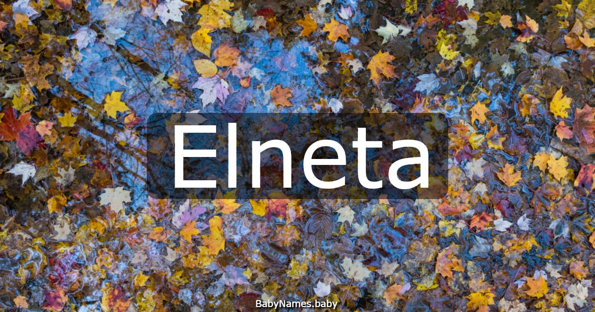 Elneta