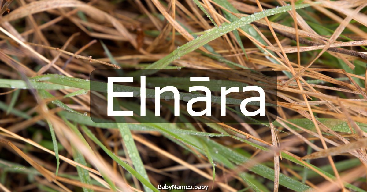 Elnāra