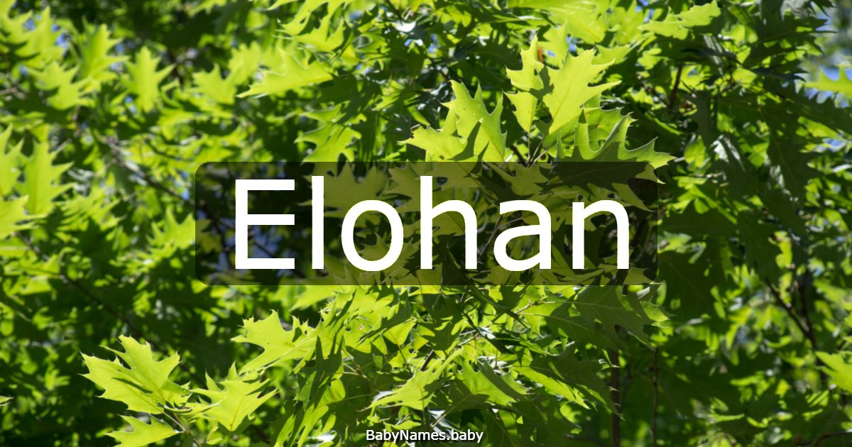 Elohan