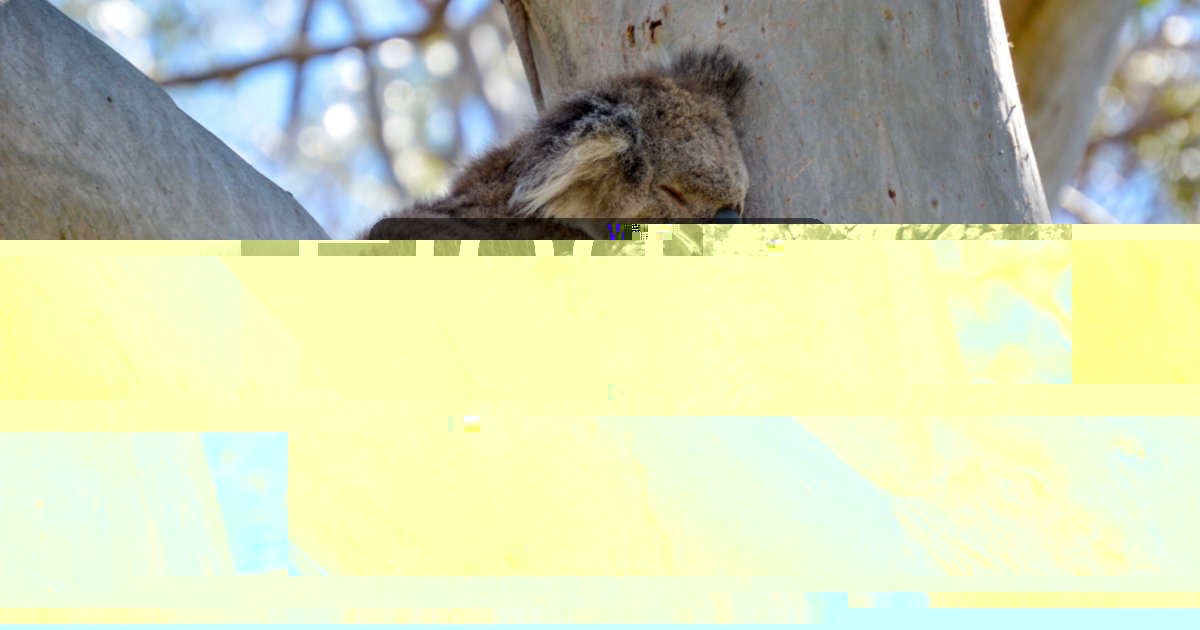 Előd
