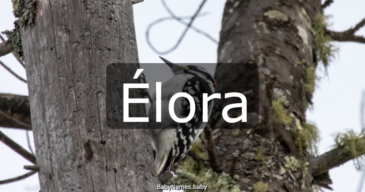 Élora