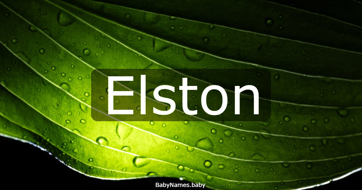 Elston