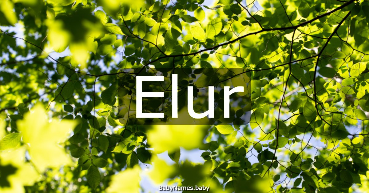 Elur