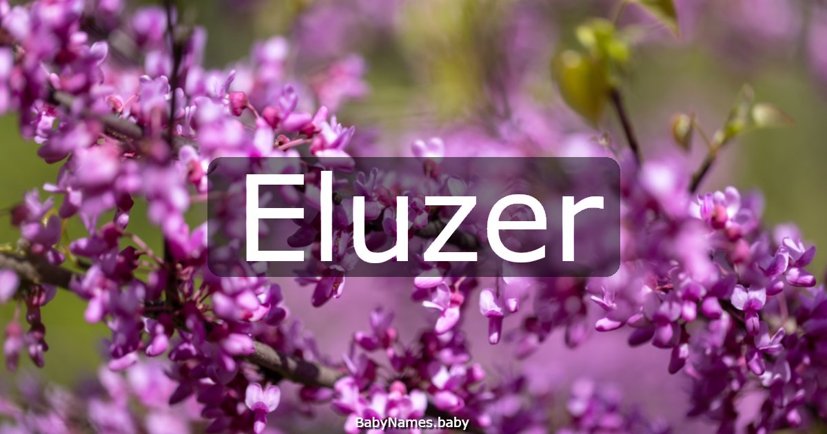 Eluzer