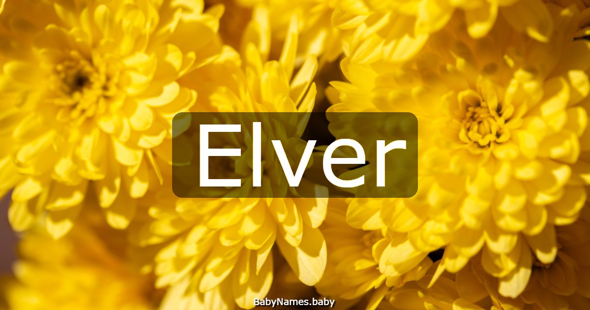 Elver