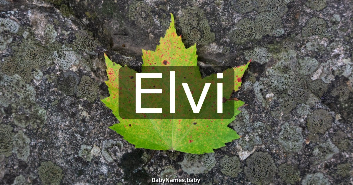 Elvi