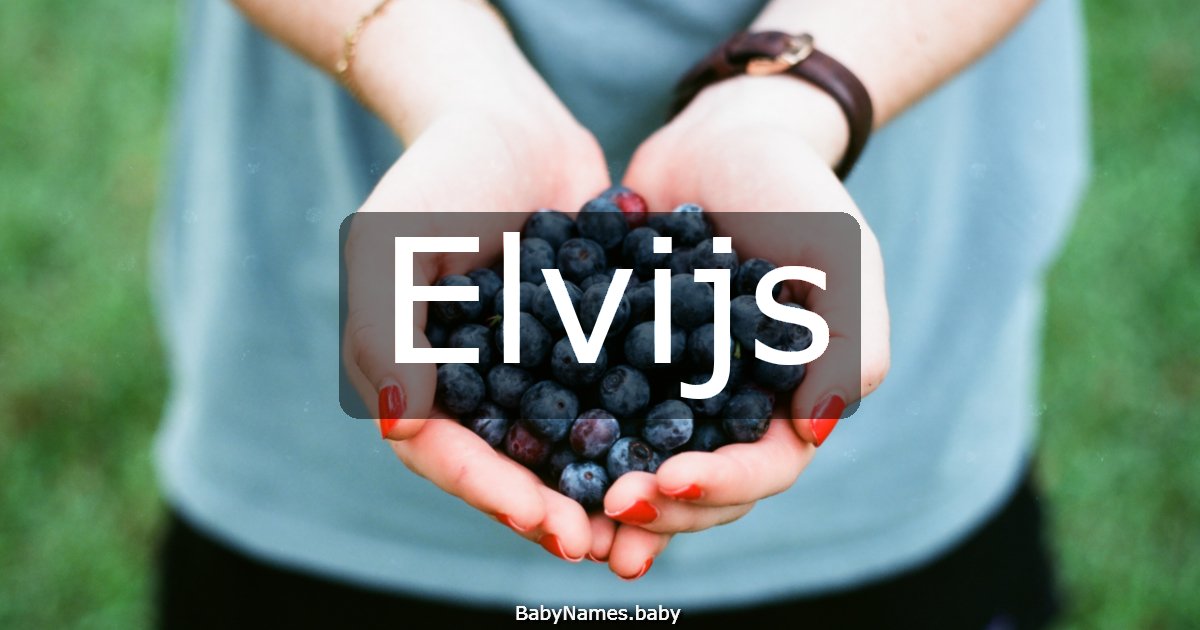 Elvijs