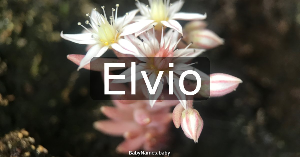 Elvio