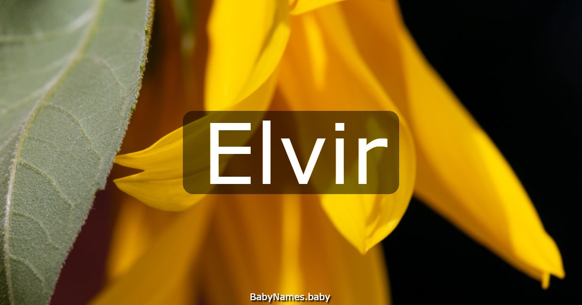 Elvir