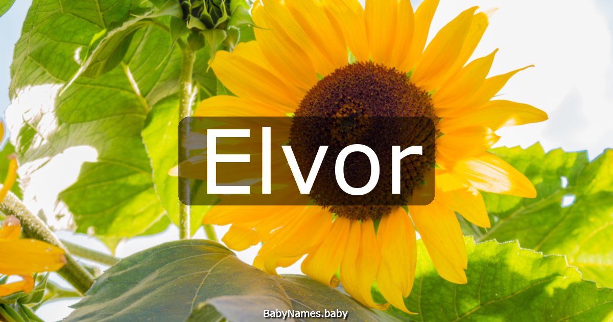 Elvor