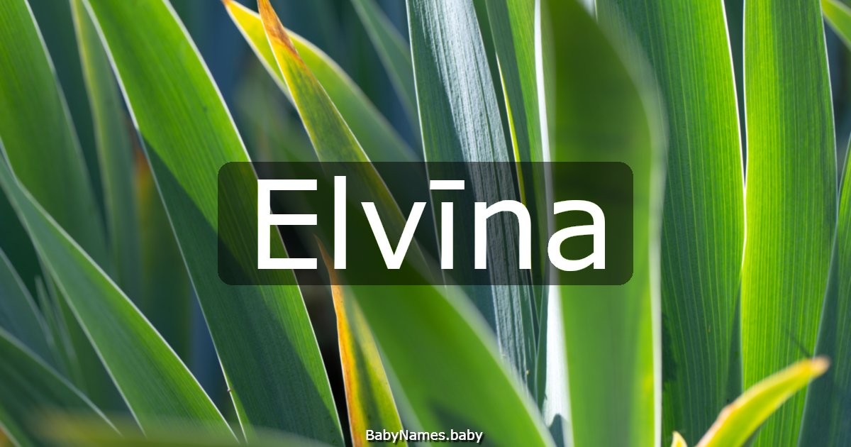 Elvīna