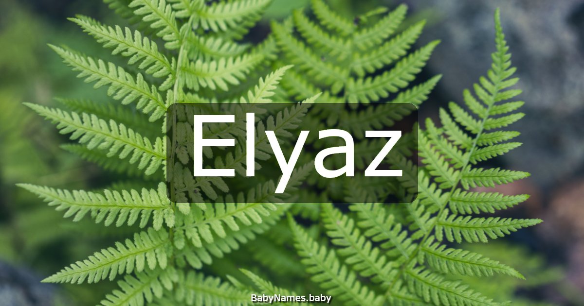 Elyaz