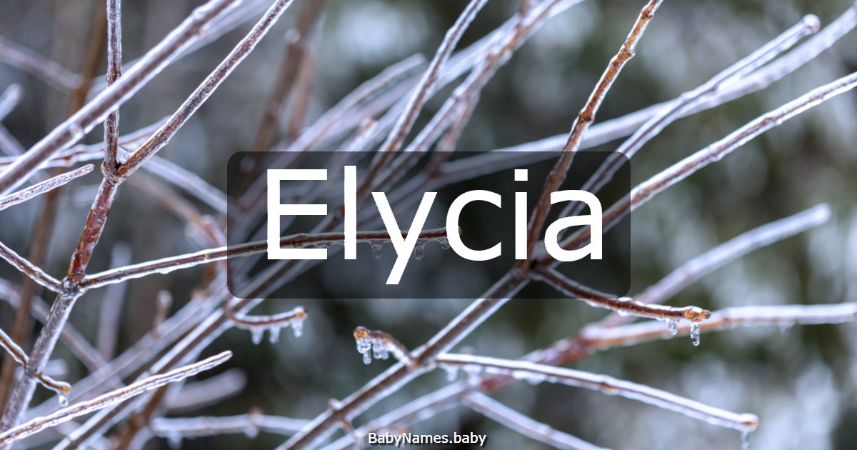 Elycia