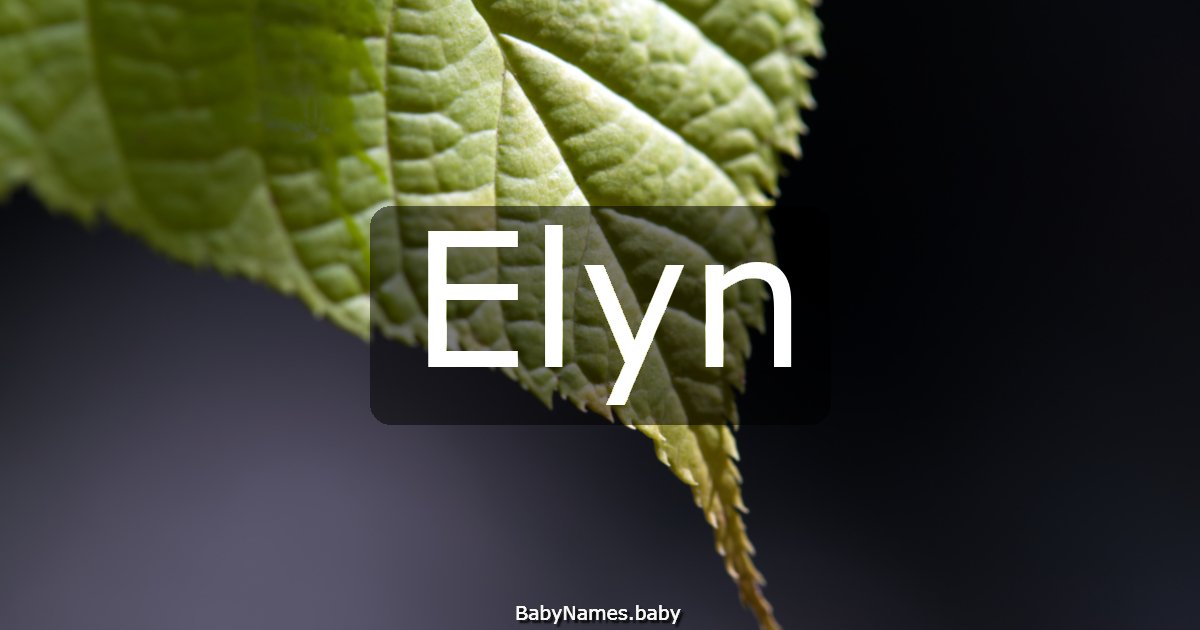 Elyn