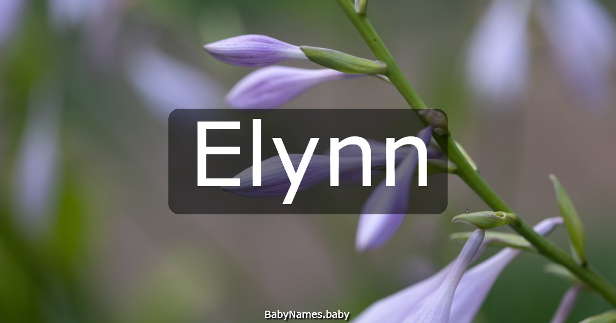 Elynn