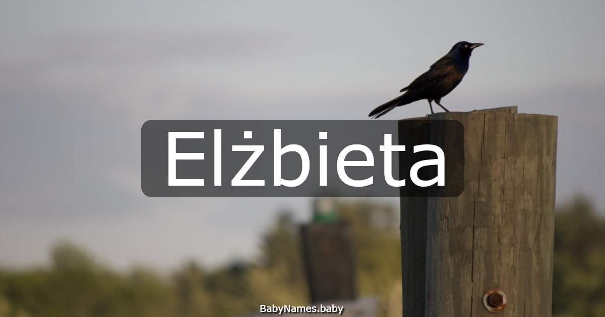 Elżbieta