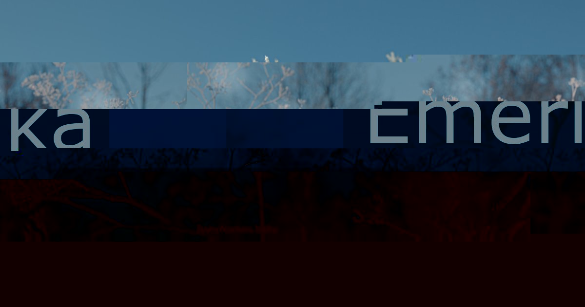 Emerika