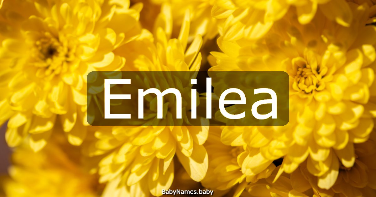 Emilea