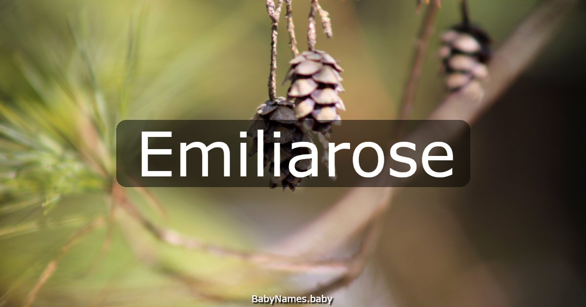 Emiliarose