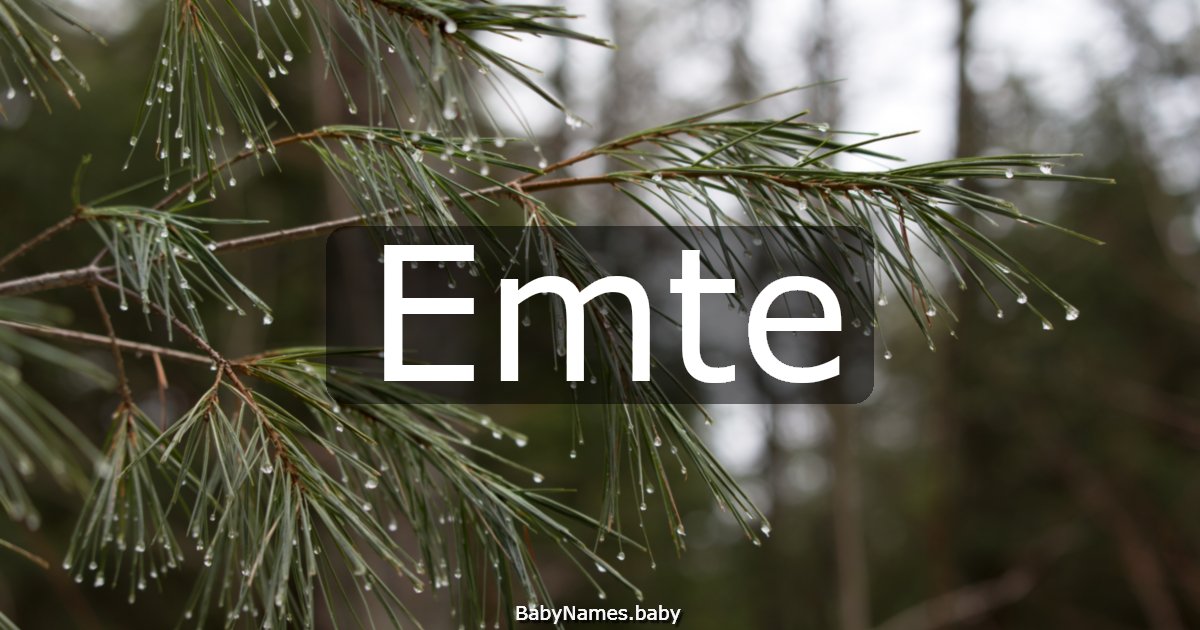 Emte