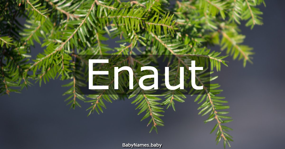 Enaut