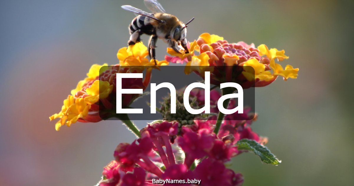 Enda