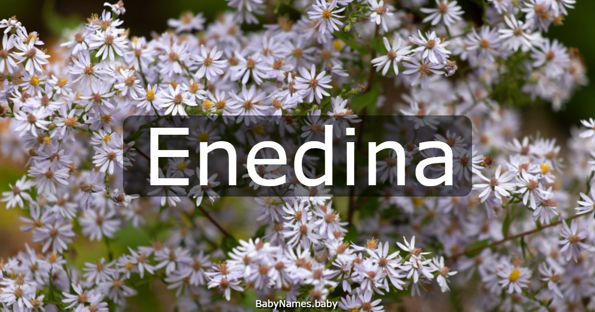 Enedina