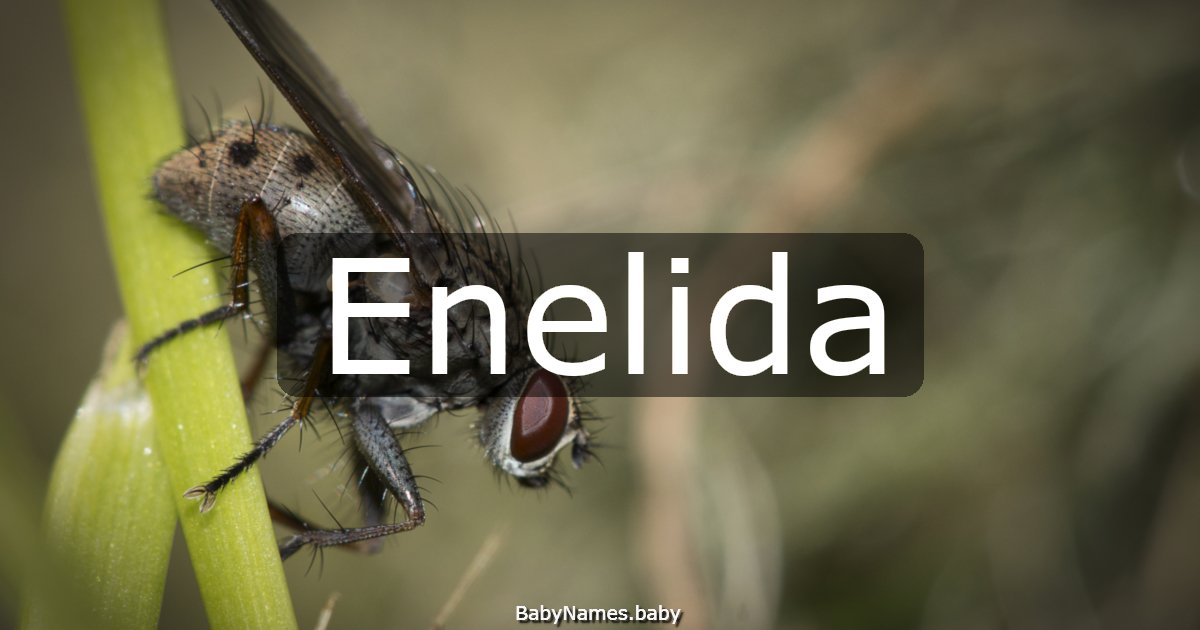 Enelida